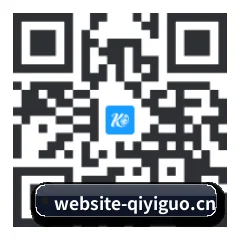 系统版 iOS 二维码